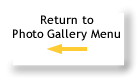 Return to Photo Gallery Menu